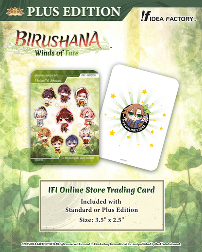 Birushana: Winds of Fate - Standard Edition - Nintendo Switch™
